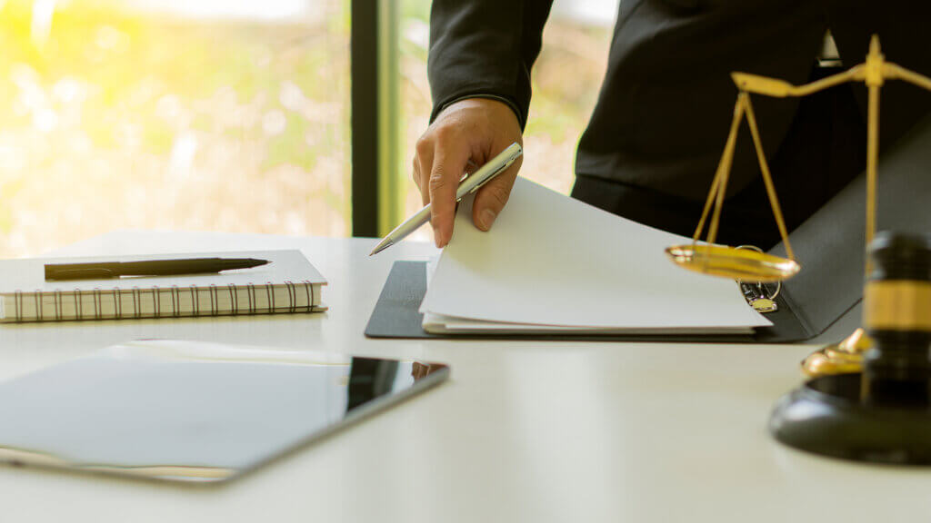 Abuse of law in the form of purposeful establishment of a holding company